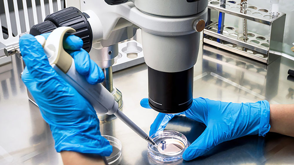 Close up view of someone's hands in blue gloves using a microscope